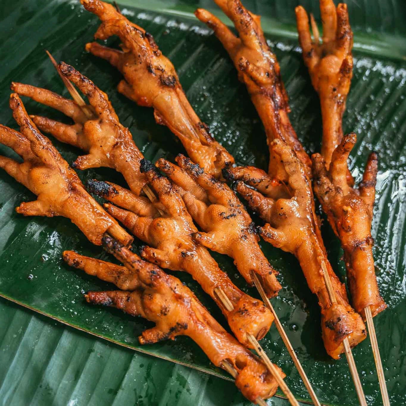 Chicken Feet (Adidas)